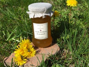 fleurs de pissenlit "Bourrache et Coquelicot"